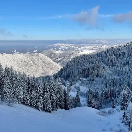 „schwarzwaldnacht“ - Ruhe & In - Mein Swh * Todtnauberg