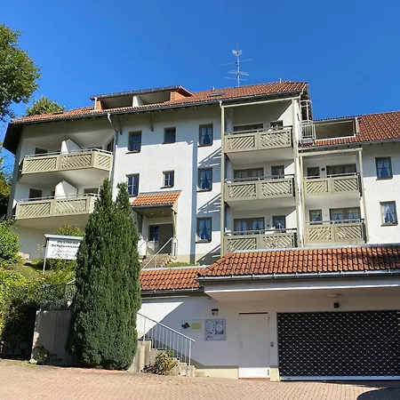 Appartement „schwarzwaldnacht“ - Ruhe & In - Mein Swh